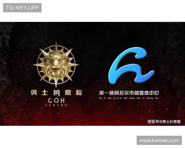 武汉排球队的崛起之路：邀请赛中的奋斗与荣耀