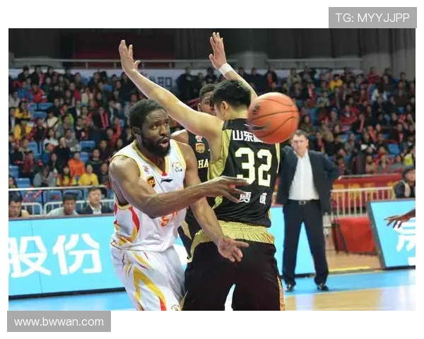 27轮辽宁对阵山东精彩比赛录像回顾与分析