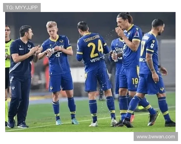 维罗纳主场迎战森多利亚双方争夺意甲宝贵积分之战 维罗纳主场迎战森多利亚双方争夺意甲宝贵积分之战