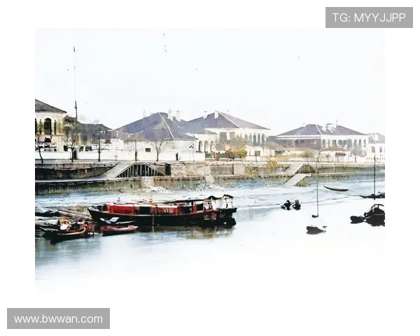 杭州羽毛球队逆袭联合会杯的辉煌历程与背后故事