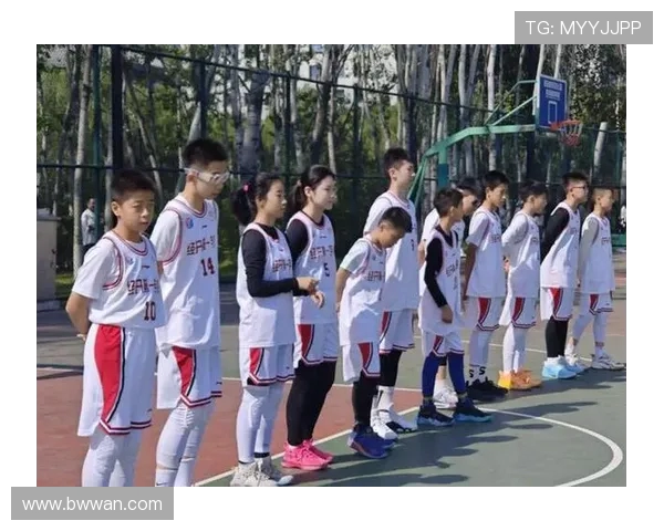 武汉篮球队的辉煌征程与大满贯梦想的追逐之路